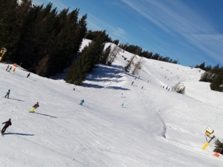 Gosau 20183_4